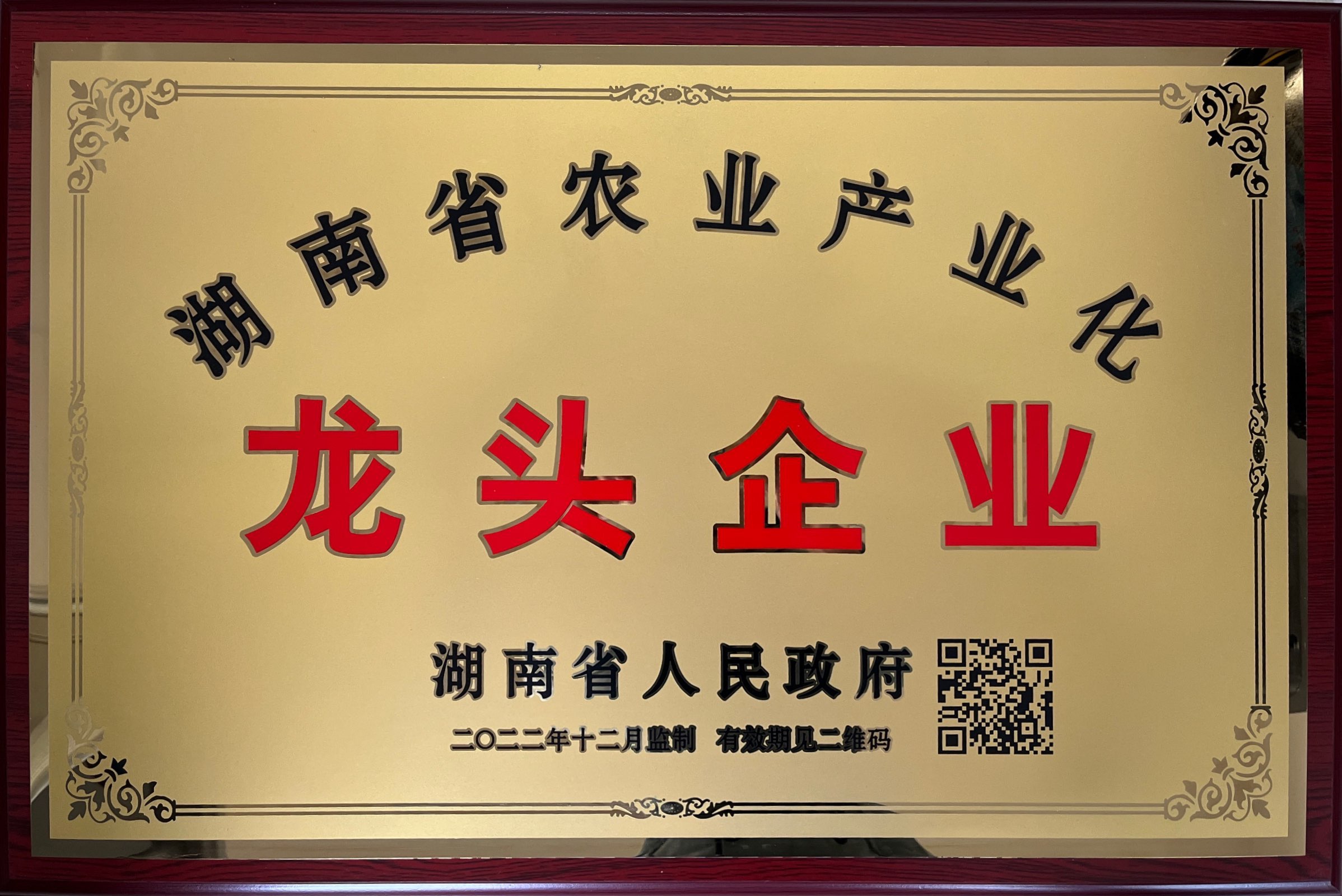 省龍頭企業