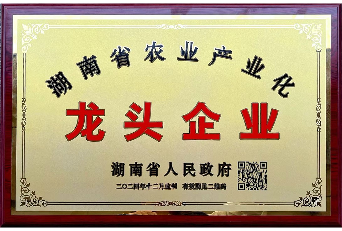 龍頭企業
