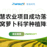 智易時(shí)代智慧農(nóng)業(yè)項(xiàng)目成功落地，助力沙窩蘿卜科學(xué)種植降本增效！